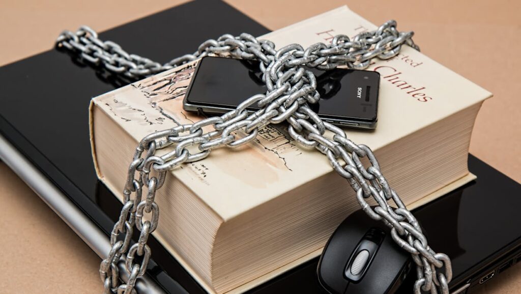 IP Audits Why should you do this